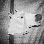 たこすの画像