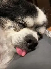 JAMの画像
