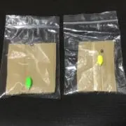 中辻久範の画像