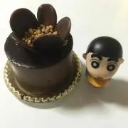 はなちゃんの画像