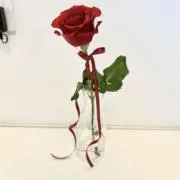 Kekekeの画像
