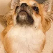 のえるの画像