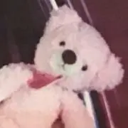 まっちゃの画像