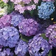 あこ　⚠️プロフィール必読の画像