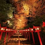 よしの画像