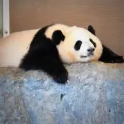 タカセの画像