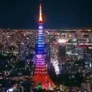 ポポロンの画像
