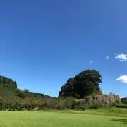 まき