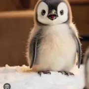 らぴすの画像