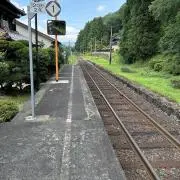 アルパカ　ポケカ纏め売り可能の画像