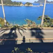 suiの画像