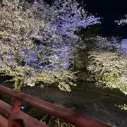 売り切り中です。の画像