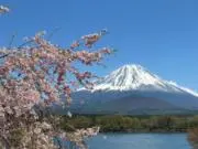 44の画像