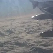 arakiの画像