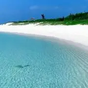 surf