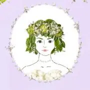 Kohの画像