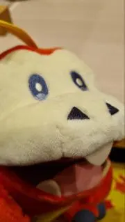 Crocodyle