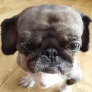 Nao M.