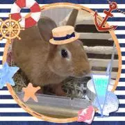 ＊なつみかん＊先ずプロフ必読願います‼︎
