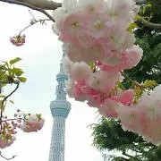 YuuKana
