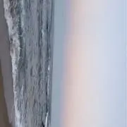 ぽんの画像