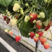 kk⭐︎プロフィール必ず確認してくださいの画像