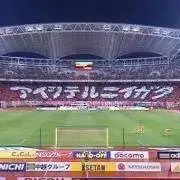 ビビの画像