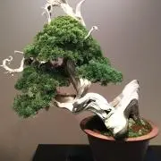 お宝発見‼️の画像