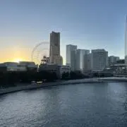 ぽんずの画像