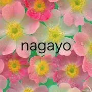 yoko✴️プロフ更新見てねの画像