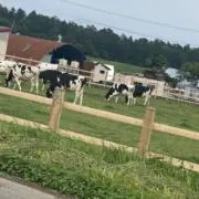 みーたんの画像