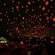 カピバラに似てる人の画像