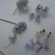 柳沢の画像