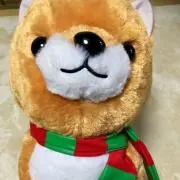 たかの画像