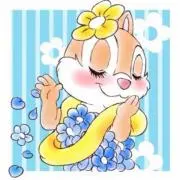クラリスの画像