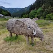 柳也の画像