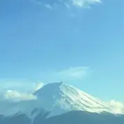 はちの画像