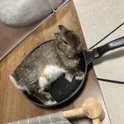まる