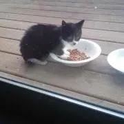 たあーん