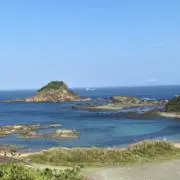 Babar shopの画像