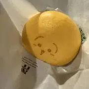 pnの画像