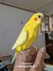 ❀スマイリーママ❀営業中です❀の画像