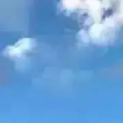 なのちゃんの画像