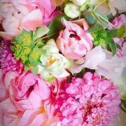 のん★プロフ確認お願いします。の画像