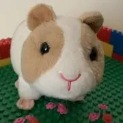 ミー♪の画像