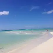 83291の画像