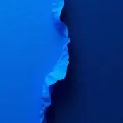 こやじ