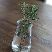 ぐらのら