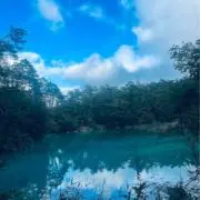 ともぴーの画像