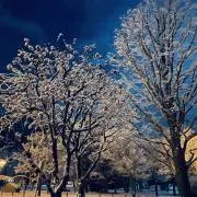 雪❄︎即購入大歓迎です♪の画像
